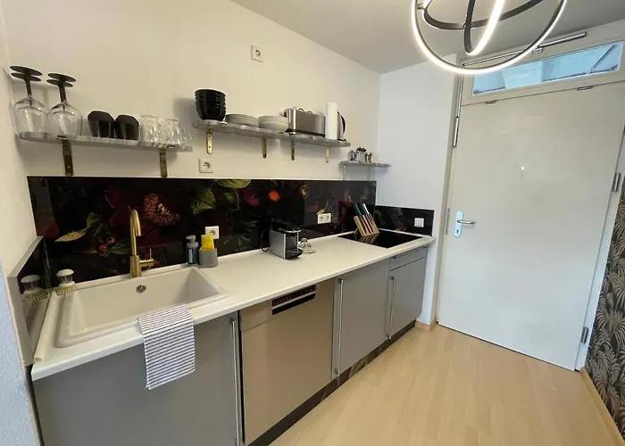 Design Catch Me If * 프라이부르크 임 브리스가우