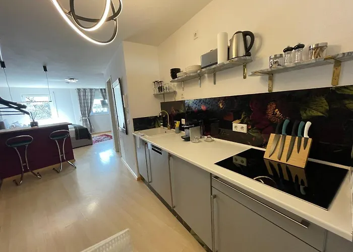 Design Catch Me If 아파트 프라이부르크 임 브리스가우